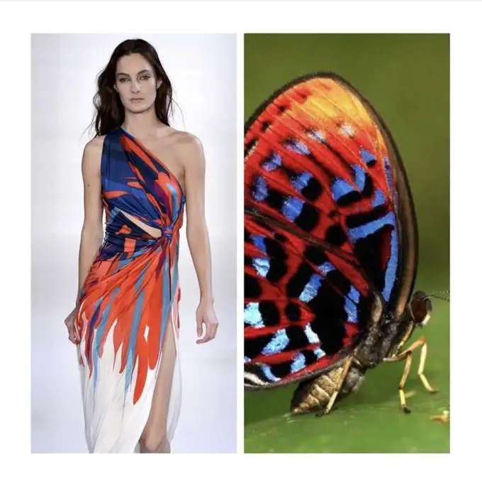 Grafisch design trends Natural inspirations Grafisch design trends Natural inspirations