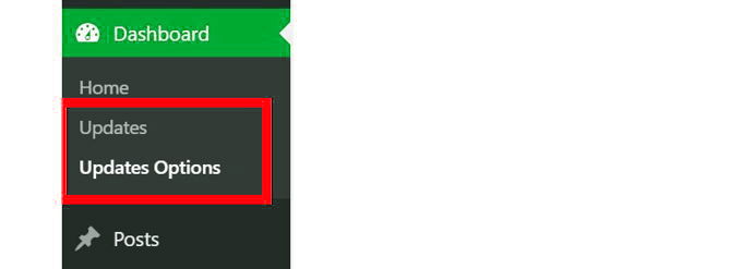 WordPress Auto-Update uitzetten plugin WordPress Auto-Update uitzetten plugin